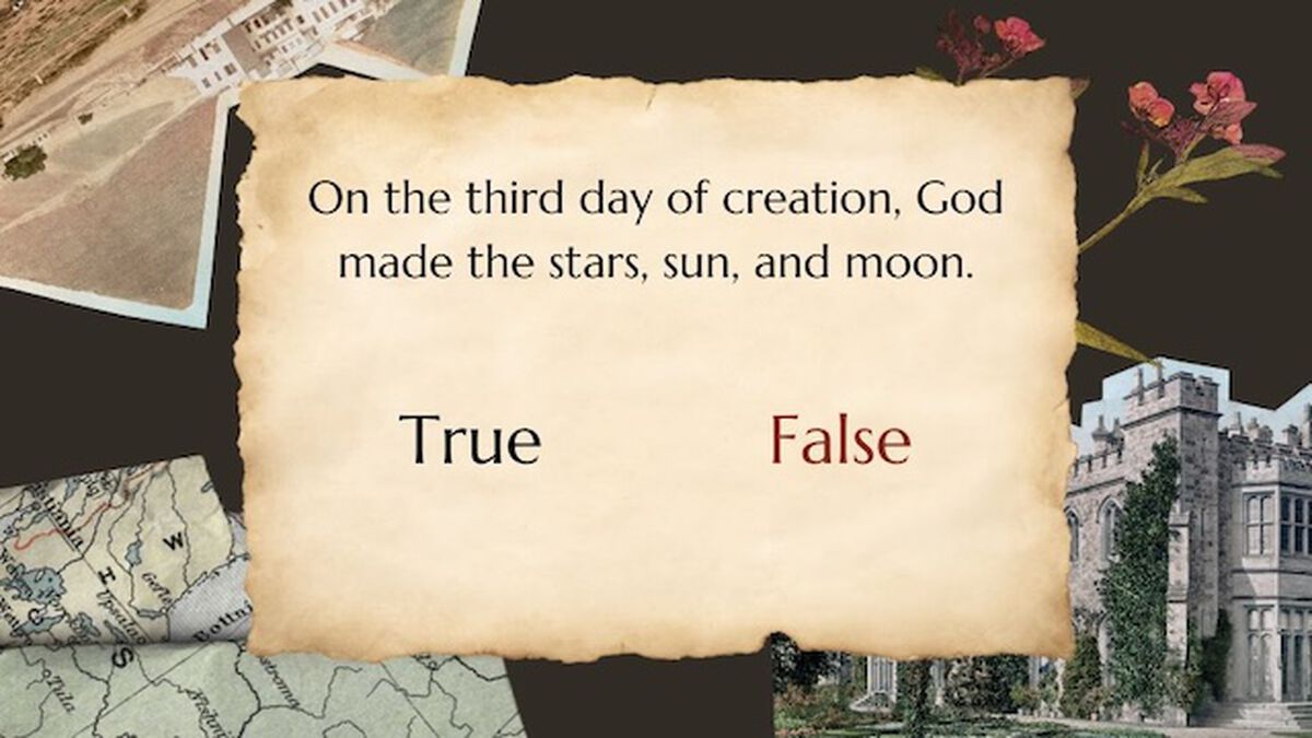 Bible Buff Old Testament Vol. 1 image number null